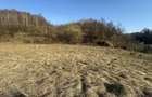 Teren intravilan, 25 ari, zona Firiza - 3