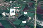 Pecica Jud. Arad Teren Extravilan zona in dezvoltare Vecinatate A1 - 2