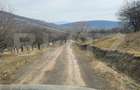 Teren extravilan, 20 de arii, Valea Rusului, pretabil pentru investitie! - 4