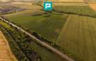 TEREN EXTRAVILAN DE 42.200 MP SECUSIGIU - 11
