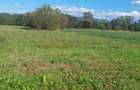 TEREN INTRAVILAN\699 mp, 45€ mp\ CARANSEBEȘ\ ZONA TEIUȘ - 4
