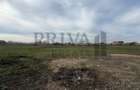 Teren intravilan, 838 mp, fs 19 mp, Mosnita Veche - 1