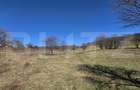 Teren de vanzare de 8,567MP in zona: Tarpiului