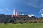 Terenuri Bran - Predelut  Priveliște către Bucegi și Postăvaru - 15