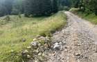 Teren Rasnov inntravilan PUZ) zona Parau Rece - 11