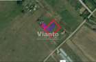 Teren extravilan 1500 mp Selimbar-langa troita - 6