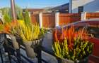 Casa cocheta tip duplex de vanzare in zona spitalului oncologicMedex - 10