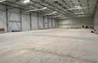 Vanzare depozit/hala/spatiu industrial Otopeni - Centura, Ilfov - 3
