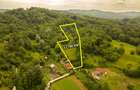 Teren de 11700 mp în mijlocul naturii la 2 ore de București - 3