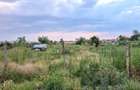 Teren intravilan, 620 mp, zona Carcea-Metro - 2