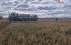 Teren intravilan de 1508 mp cu utilitati - Ianova - 1