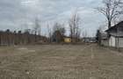 Teren Intravilan - parcelabil - 1.450 mp - Valea Avrigului - 3
