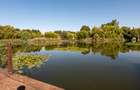 Unicitate, spațiu și rafinament în Snagov! Viata pe lac !! - 7