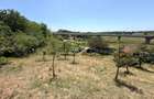 TEREN INTRAVILAN CU PIVNITA | 884 MP | ZONA EPISCOPIA | ORADEA - 6