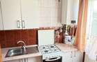 BAIA SPRIE - spre Cavnic Vila D+P+E 168mp + anexa cu teren 1526mp! - 13