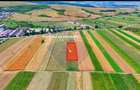 TEREN extravilan- 6 E/MP- CU PLANTATIE DE TRANDAFIRI! Teliu 7000mp - 12