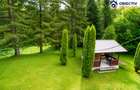 Cabană de Vânzare în Tarcău – Natură, Relaxare și Pescuit la Poartă! - 10