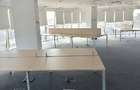 Armand Business Center, Rosetti, 310 - 1026 mp  0% comision! - 11