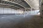 DE ÎNCHIRIAT | Ansamblu industrial 2 hale 4.400 mp | Calea Moinești - 9