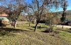 Teren 4044 mp, deschidere 60m, la 18 km de Campina, asfalt si curent - 3