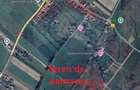 Teren Tohanu Nou, intrare Sohodol, 4800mp - 16