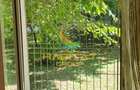 Garsoniera Brancoveanu Budimex 33mp an 1973 libera - 7