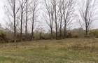 Teren extravilan - 4.175 mp, sat.Miroslavesti - 2