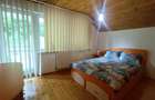 Casa | Cabană premium în Râmeț | Piscină | Afacere la cheie | Valea Mănăstirii - 7
