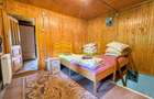 Cabană – Mureș – Sălard – Zona Pensiunea Denisa - 11