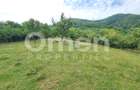 Teren de vânzare | Suprafață 10.040 mp | 2.500 € / ar | Strada Nucului - 7