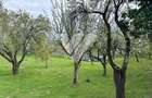 Teren de vanzare - Saliste - Intravilan  -  430 MP - 4