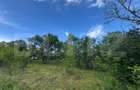 Teren extravilan de vanzare, 6000 mp, zona Hateg - 1