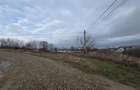 Teren intravilan,dublu front,Paleu,Oradea,Bihor - 4