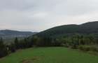 TEREN PREMIUM 5.023 MP ÎN VORONEȚ | BUCOVINA | ZONA MĂNĂSTIR - 23