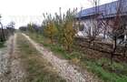 Teren Intravilan Moara Vlasiei 963 mp, Zona Superba, - 4