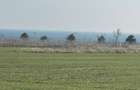 Teren Corbu- 2 hectare-  iesire la mare - 3