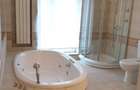 Vanzare apartament penthouse Gradina Icoanei - 5