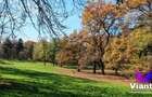 Apartament 2 camere | Valea Aurie | Aproape de Parcul Sub Arini - 9