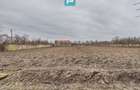 Casă cu 3 camere și teren de 1400 mp în Mișca - 12