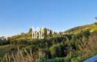 Teren pe Transapuseana I Investiție I Pasajul Belvedere - 11