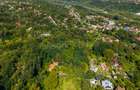 Teren 3.886 mp, Breaza - Podu Vadului, 30 m deschidere la asfalt - 11