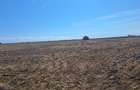 EXCLUSIVITATE! TEREN EXTRAVILAN -10.000 mp – COSTINEȘTI, SCHITU, ZONA RADAR