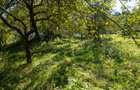 Casă la munte, gata de mutat ,  Poiana Mărului Brasov cu Teren minim 1.000 mp - 20