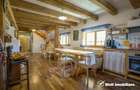 Casa rustica, exclusivista, 5 camere, 170 mp utili, 550 mp teren, Salicea - 3