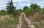 Terenuri Intravilane 1.000 mp - Str. Viilor - Zona de case P + 2 - 5