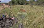 Teren intravilan de vanzare 843 mp – Chinteni - 13
