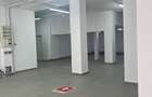 Proprietar, inchiriez spatiu comercial deosebit zona parcul Kiseleff - 10