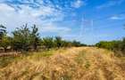 Parcele Teren Extravilan Livada si Pasune Lunca Corbului  Arges - 10