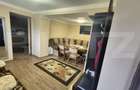 Casa cu 2 camere, 65 mp, teren 2910 mp, in Viile Satu Mare - 13
