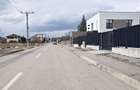 Cristian-zona str Eroilor front 34m, intravilan, 730mp - 8